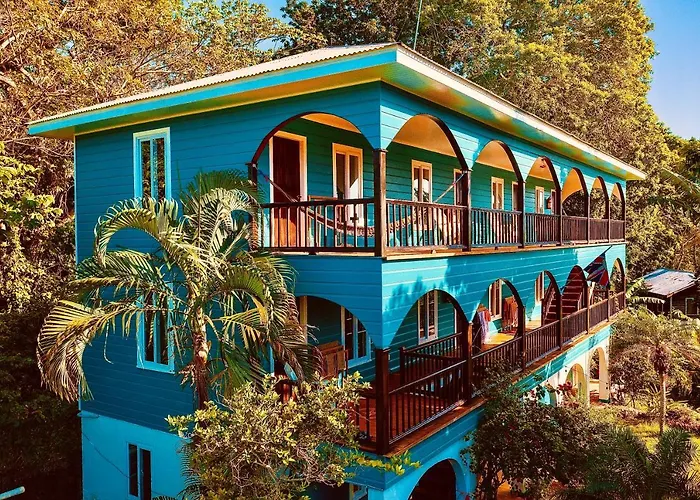 Hotels in Downtown Utila
