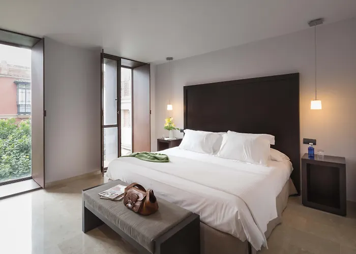 Hotels in Downtown Seville