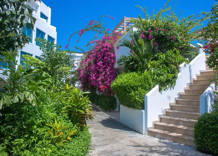 Hotels in Downtown Freetown