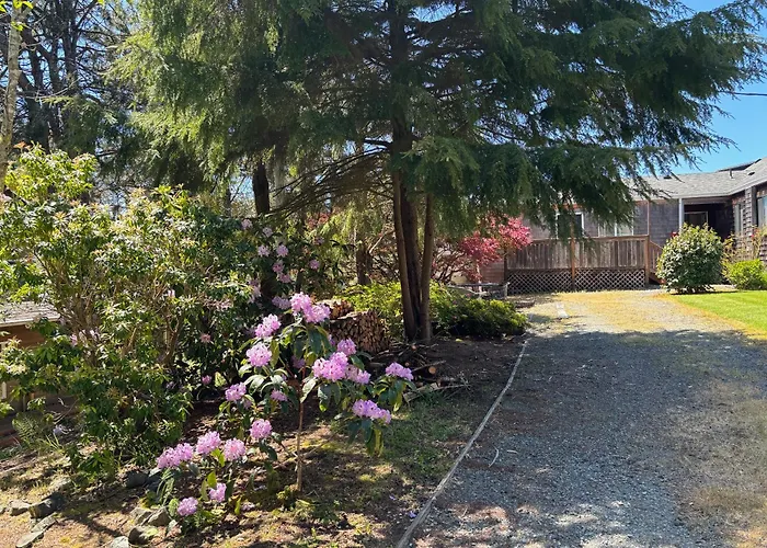 Hotels in Downtown Manzanita