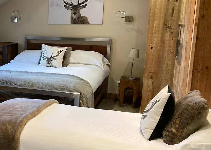 Hotels in Downtown Megeve