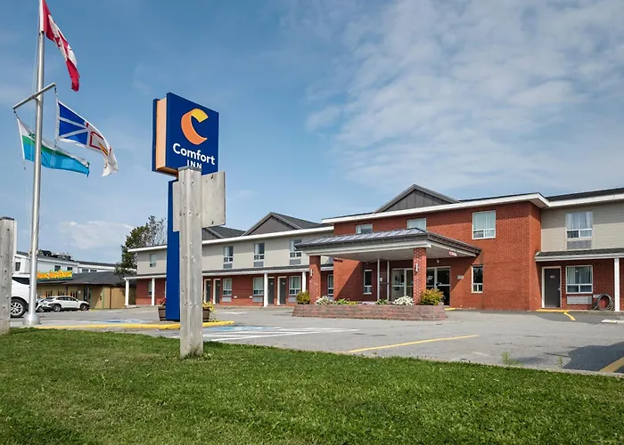 Hotels in Downtown Gander