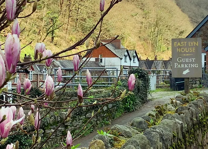 Hotels in Downtown Lynmouth