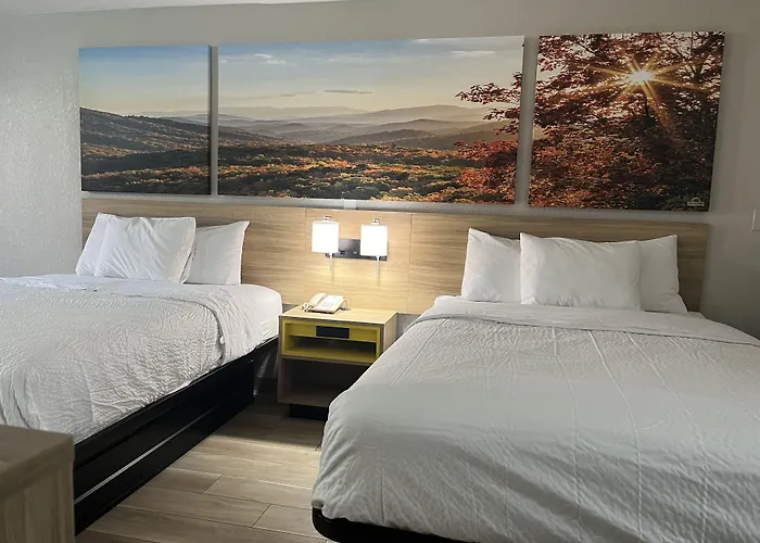 Hotels in Downtown East Ellijay