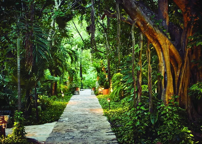 Hotels in Downtown Punta Maroma