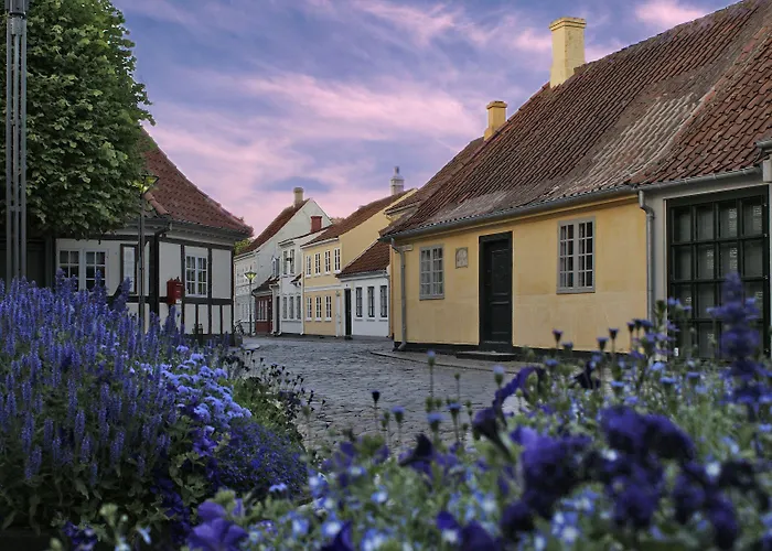 Hotels in Downtown Odense