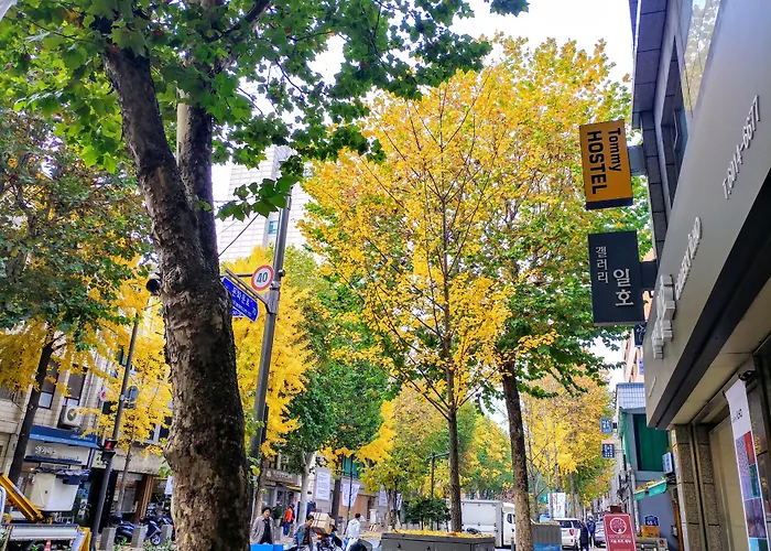 Hotels in Downtown Seoul