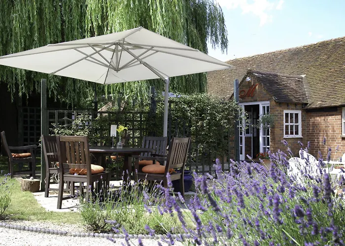 Hotels in Downtown Wokingham