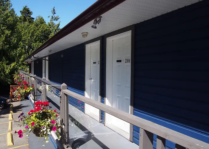 Hotels in Downtown Tofino