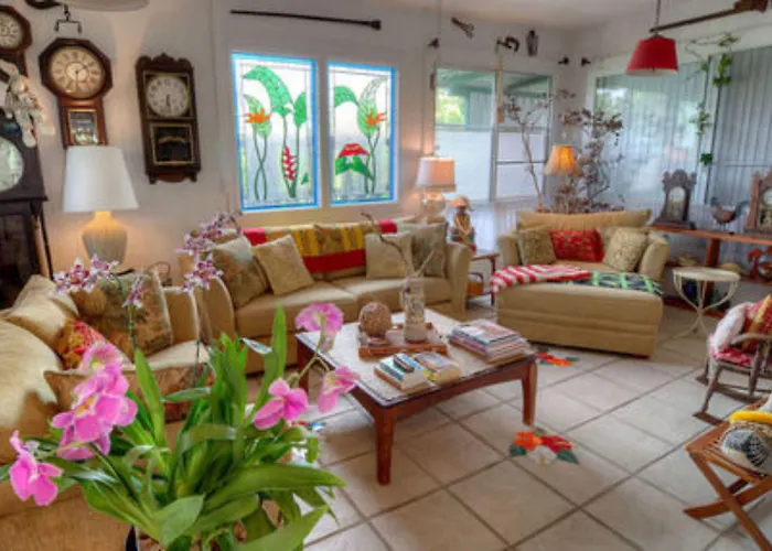 Hotels in Downtown Hilo