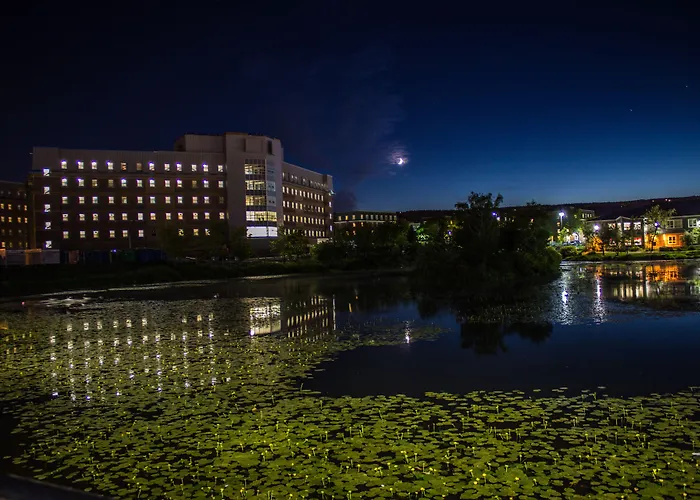 Hotels in Downtown St. John's