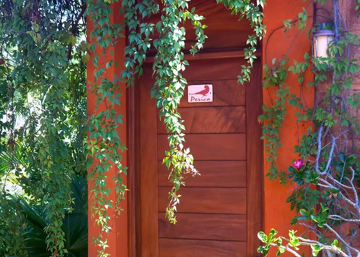 Hotels in Downtown San Francisco (Nayarit)