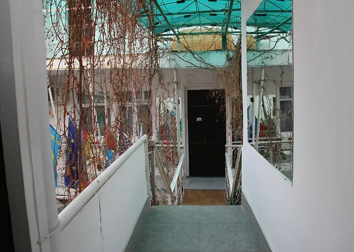 Hotels in Downtown Tashkent