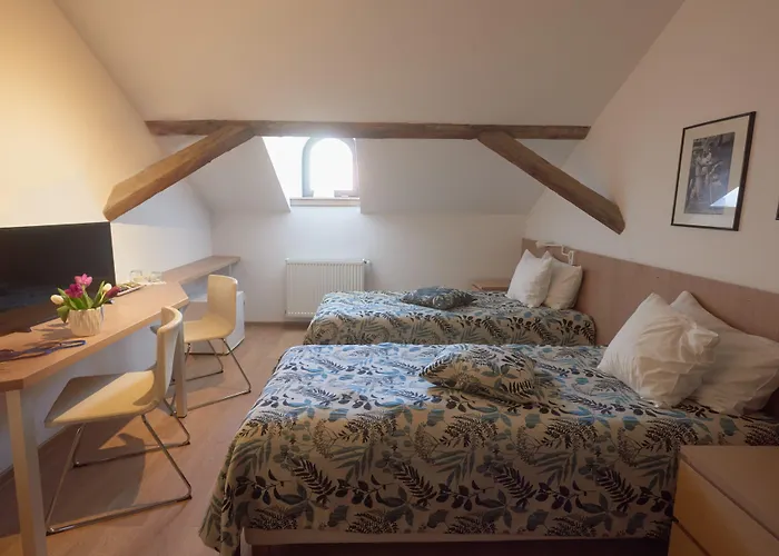 Hotels in Downtown Cluj-Napoca